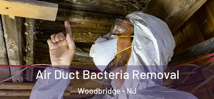 Air Duct Bacteria Removal Woodbridge - NJ