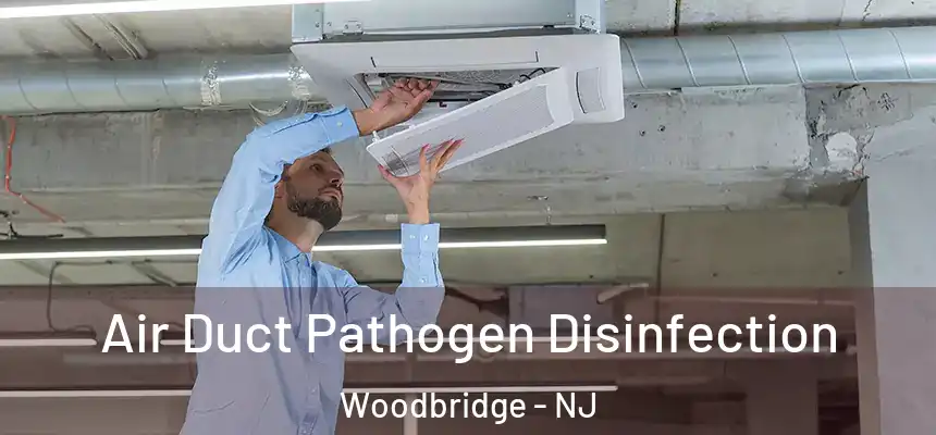 Air Duct Pathogen Disinfection Woodbridge - NJ