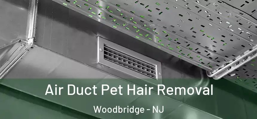 Air Duct Pet Hair Removal Woodbridge - NJ
