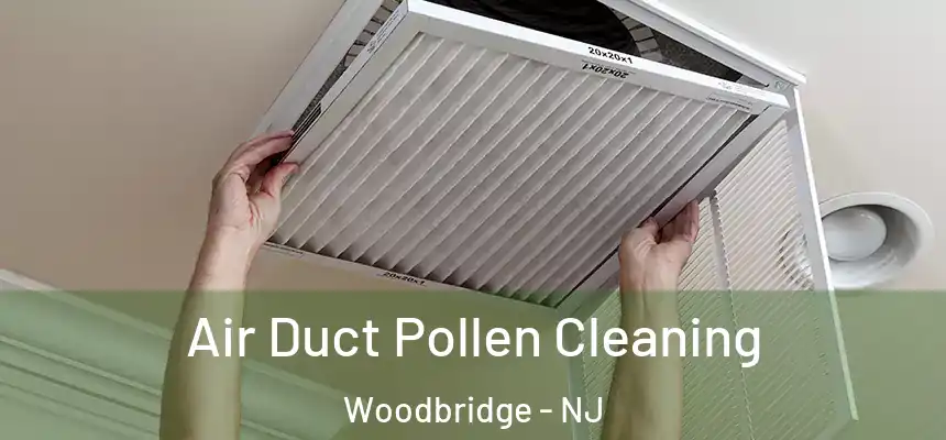  Air Duct Pollen Cleaning Woodbridge - NJ