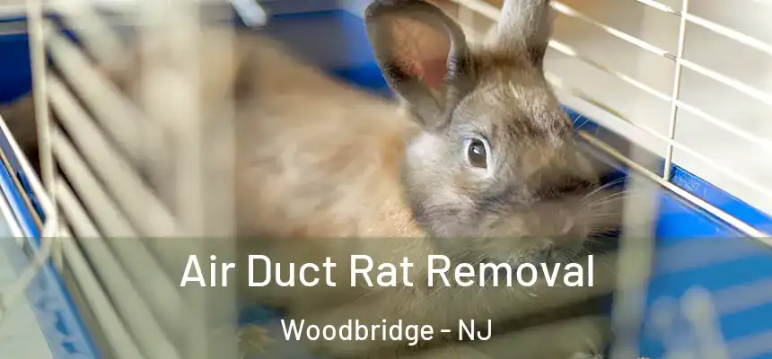 Air Duct Rat Removal Woodbridge - NJ