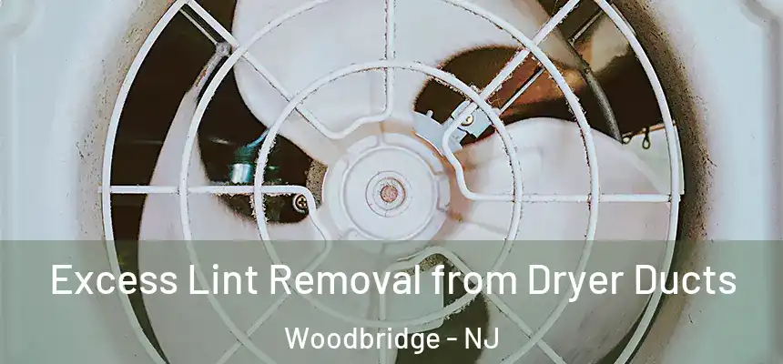 Excess Lint Removal from Dryer Ducts Woodbridge - NJ