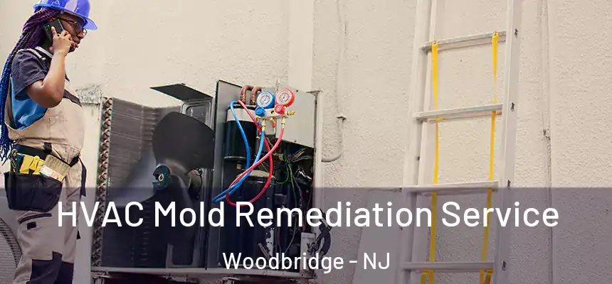  HVAC Mold Remediation Service Woodbridge - NJ