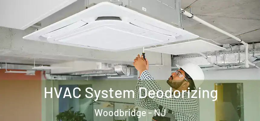 HVAC System Deodorizing Woodbridge - NJ