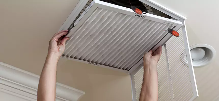 Preventive Cockroach-Proofing for Ducts in Woodbridge