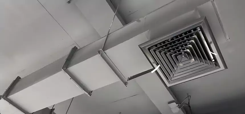 Our Rodent Droppings In Vents Services in Woodbridge, NJ