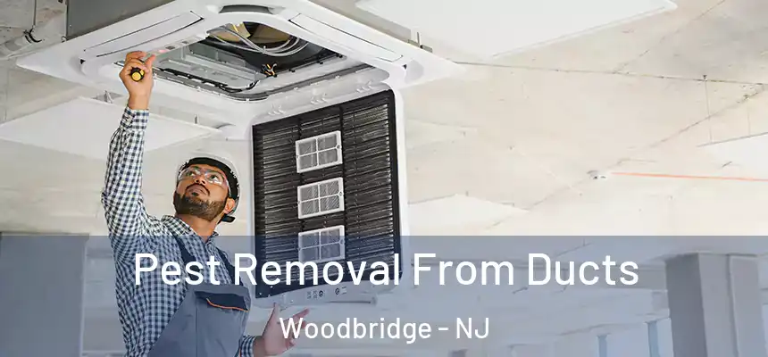 Pest Removal From Ducts Woodbridge - NJ