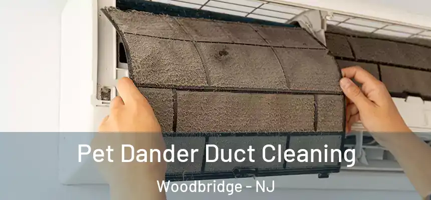 Pet Dander Duct Cleaning Woodbridge - NJ