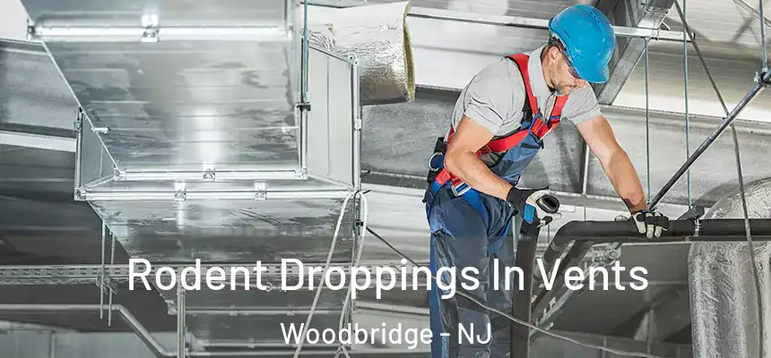  Rodent Droppings In Vents Woodbridge - NJ