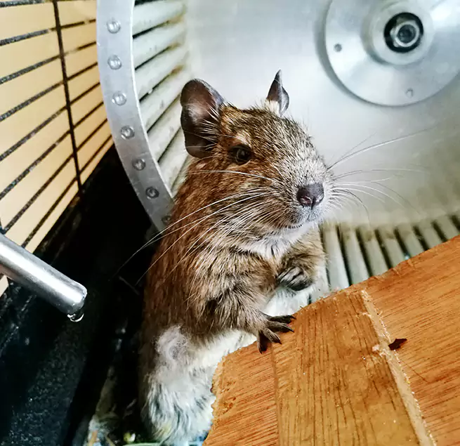 Why Homeowners & Businesses Trust Us Woodbridge, NJ