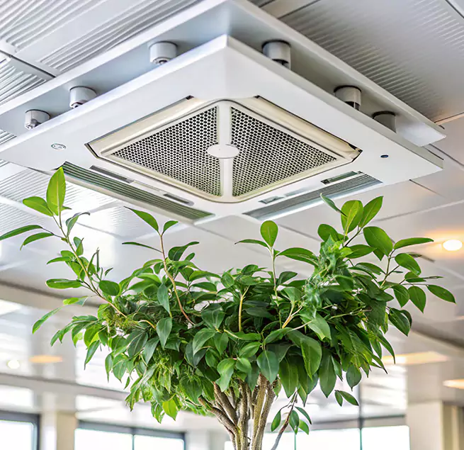 Why Homeowners & Businesses Trust Us in Woodbridge, NJ?