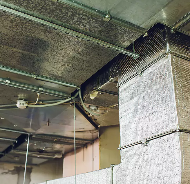 Why Homeowners & Businesses Trust Us in Woodbridge, NJ?